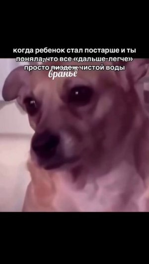 тгк: abramovanastyaa