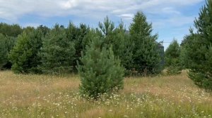 27-07-2025 Лаки Парк , 815