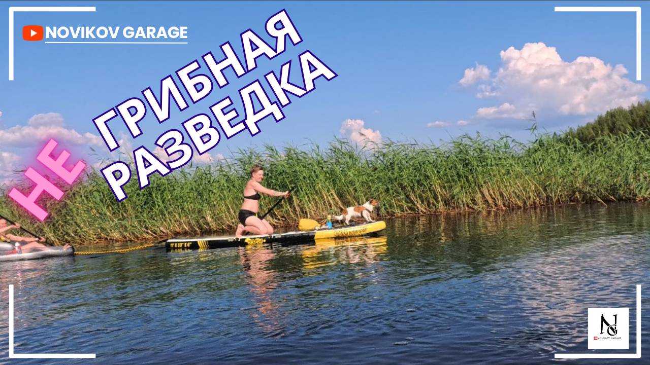 Не грибная разведка 26 июля 2025 Гатчинский район смотреть онлайн