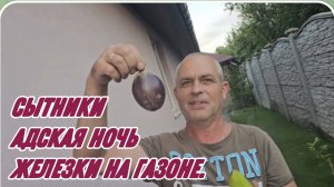 САМВЕЛ АДАМЯН, СЫТНИКИ, АДСКАЯ НОЧЬ, ЖЕЛЕЗКИ НА ГАЗОНЕ..