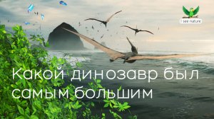 Какой динозавр был самым большим?