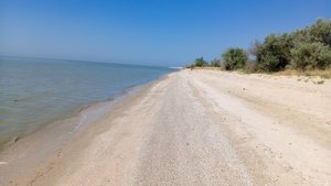 Беглицкая коса: место для дикого отдыха под Таганрогом
