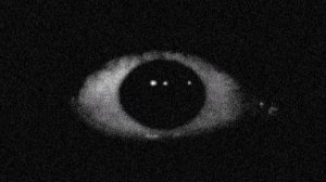 ТУДА ФИОЛЕТОВУЮ КУКУХУ