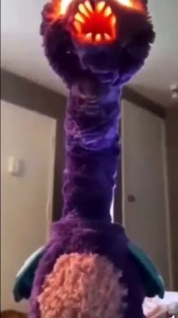 1000258299.mp4