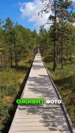 ✅Три крутые нейросети для работы с видео прямо с телефона!