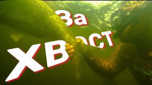 Не реально круто. Подводная охота в новом формате.