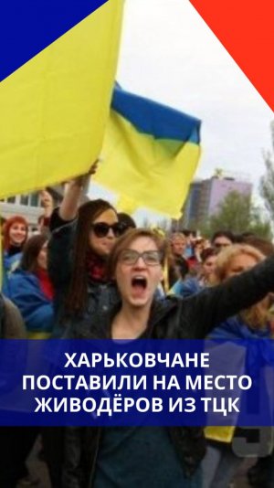 Смелые парни из Харькова восстали против полицаев Зеленского в ТЦК. Смотрите на реакцию окружающих