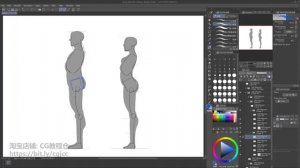 05-1. Differences In Male And Female Proportions