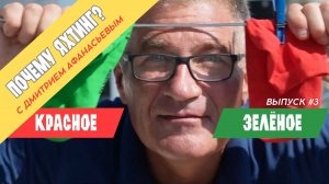 Зачем ходить на курсы яхтинга когда можно просто отдыхать | Капитан Дмитрий Афанасьев