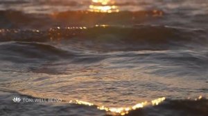 Утренняя медитация на женскую энергию 3 минуты