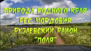 Природа родного края. рес. Мордовия Рузаевский район. "Поля".