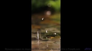 Мелодии, которые звучат громче, когда их слушаешь в объятиях у гор - My Love is a Hurricane at Dawn