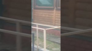 Удмуртия_малопургинский_район_деревня_Быстрово