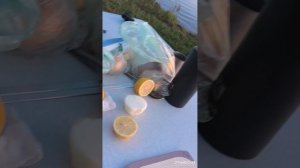Енисей хариус рыбалка балдежная