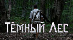 Поиски Новых Заготовок Для Флейт / Тёмный Лес / Гора Стрижамент