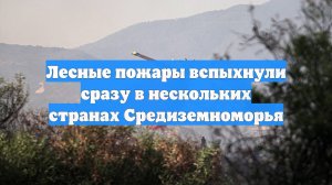 Лесные пожары вспыхнули сразу в нескольких странах Средиземноморья