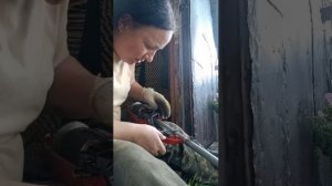 Сломался триммер