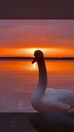 Природа❤
