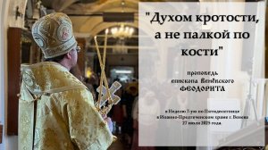 "Духом кротости, а не палкой по кости". Епископ Венёвский Феодорит.
