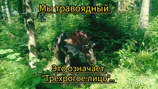 Динополис-мир Юрского периода в Ижевске.