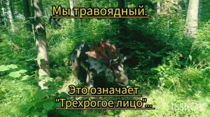 Динополис-мир Юрского периода в Ижевске.