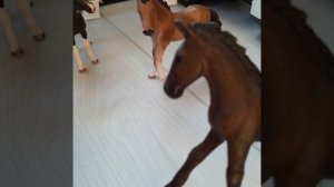 вызов принят лошади шляйх