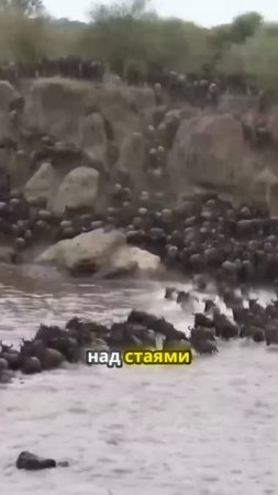 Непал, Африка и Северный полюс — путешествия, которые изменят жизнь
