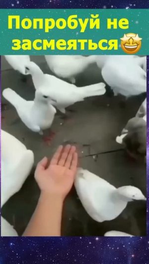 У меня куча дел..