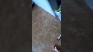 экстренные новости