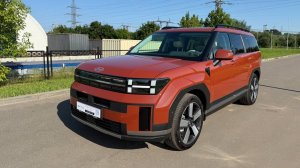 Бензиновая Santa Fe Exclusive – Идеальный семейный кроссовер? Разбор светлого интерьера