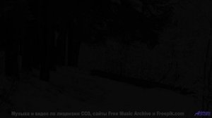 Ты почувствуешь, как каждое дерево, каждая трава начинает петь под этот трек - Western Vestibules --