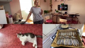 РАЗГОВОРЫ и ВОСПОМИНАНИЯ