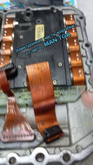 Электронный блок АКПП от MAN TGA