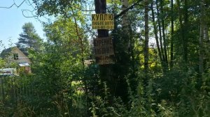 Олдскульная хардовая реклама на даче