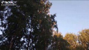 1000003838.mp4