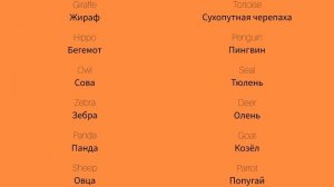 Животные 3 Animals 3