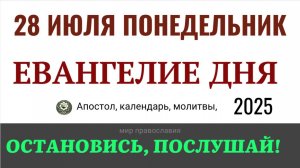28 июля понедельник Евангелие дня 2025 с толкованием #евангелие