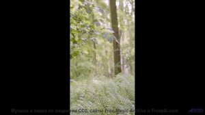 Этот клип - визуальный экстаз под гениальную музыку - When Youre Mine -- Fascinations Grand Chorus -
