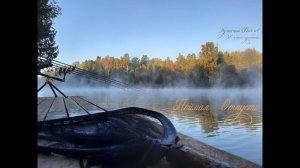 Поймал-Отпустил