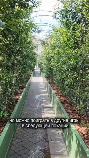 Фестиваль, который обязательно нужно посетить! Подробности в VK и Telegram