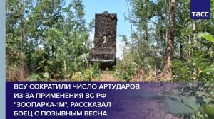 ВСУ сократили число артударов из-за применения ВС РФ "Зоопарка-1М", рассказал боец с позывным Весна