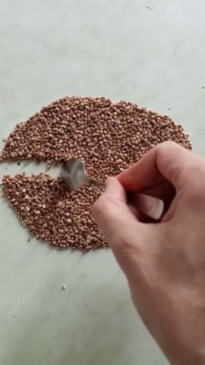 Моделируем трековый счётчик частиц