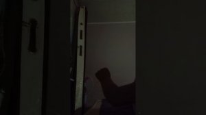 1000011855.mp4