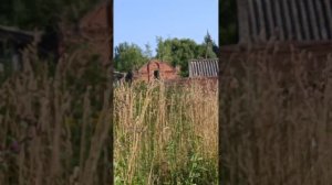 Заброшеная  деревня