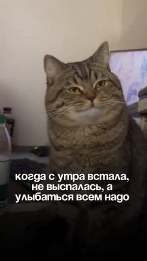|