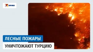 Лесные пожары уничтожают Турцию