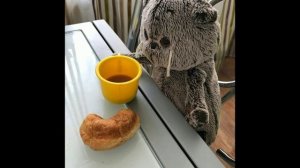 Кот Басик