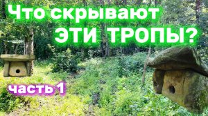 Места силы, аномальные зоны или порталы? Что скрывают дольмены Шапсугской.