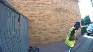 BRAIN TIME.  Delivery Drivers vs Animals | When Things Go Wrong