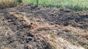 Всё-таки буду пахать огород